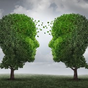 Communication and growth concept as a growing partnership and teamwork exchange in business with two trees in the shape of human heads on a sky with leaves exchanging from one face to the other as a concept of cooperation.