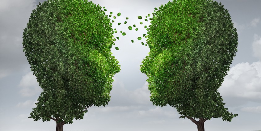 Communication and growth concept as a growing partnership and teamwork exchange in business with two trees in the shape of human heads on a sky with leaves exchanging from one face to the other as a concept of cooperation.