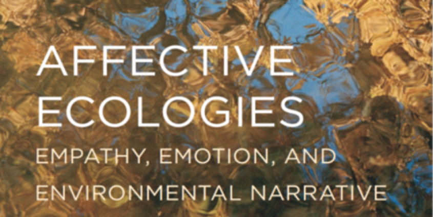 Emotion Affective Ecologies Empathy and Environmental Narrative 