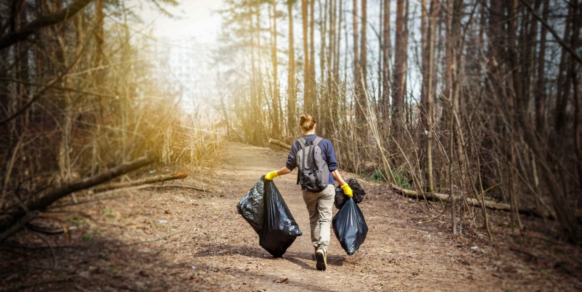 Müll sammeln in der Natur | Soziale Innovation
