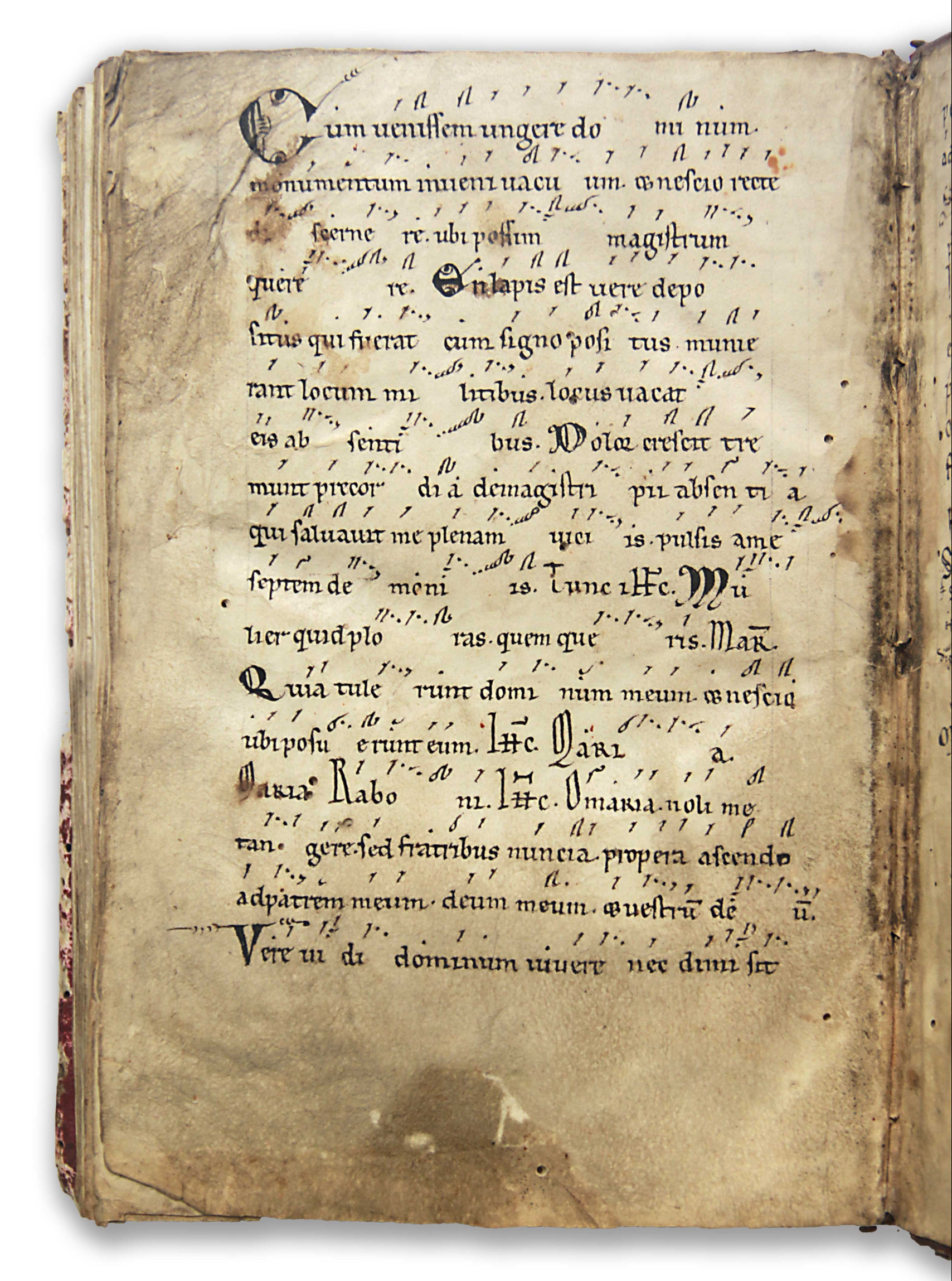 Pergamenthandschrift-32_f78v