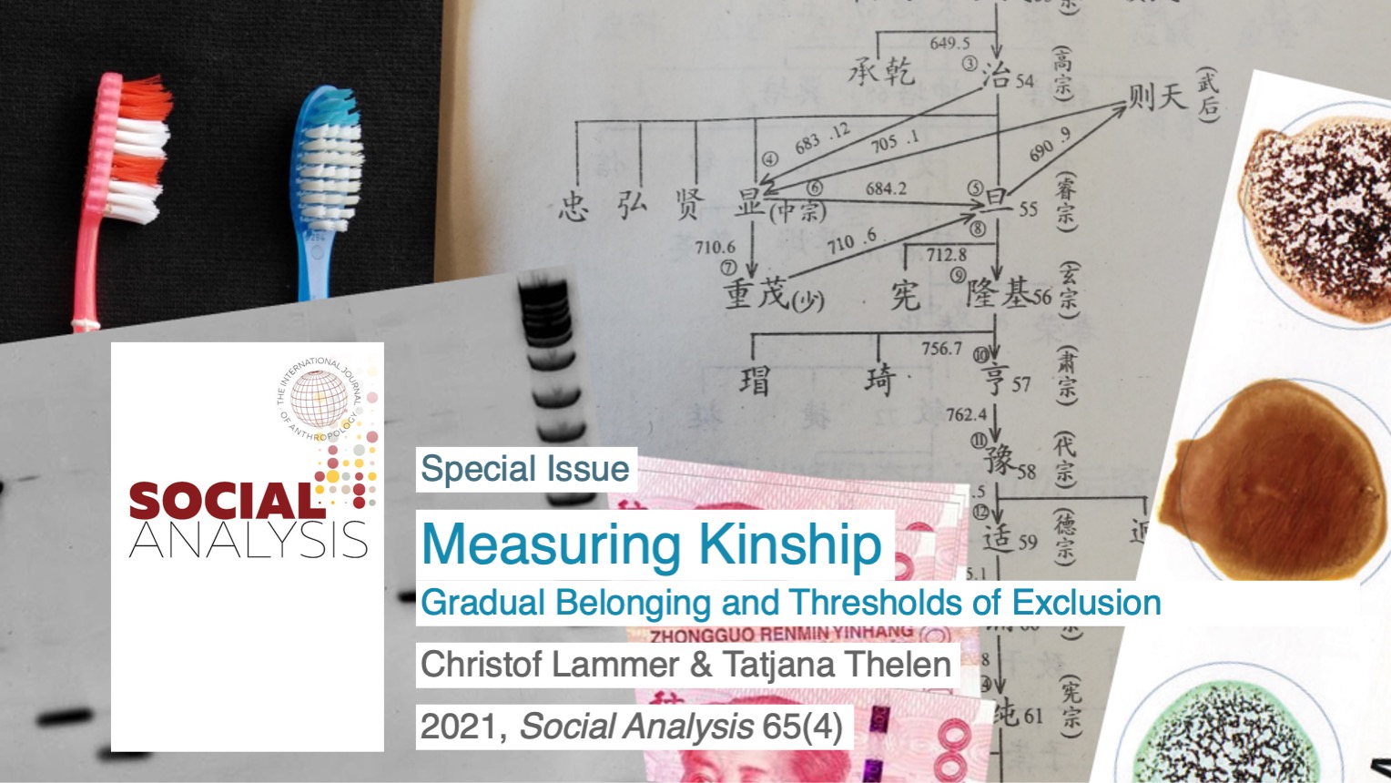 Christof Lammer, Tatjana Thelen: Measuring Kinship. Gradual Belonging and Thresholds of Exclusion. 2021, Social Analysis 65(4)