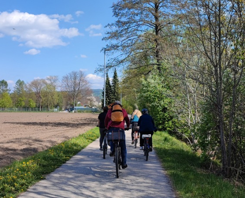 Fahrradfahrer:innen auf einer asphaltierten Straße zwischen Feldern und Bäumen