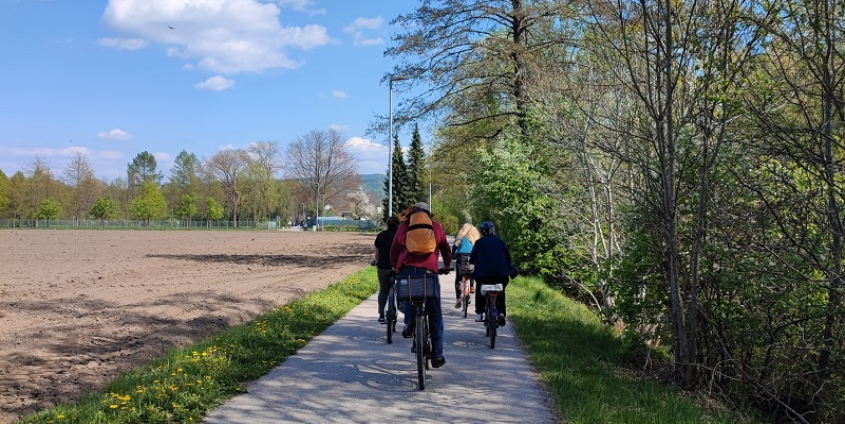 Fahrradfahrer:innen auf einer asphaltierten Straße zwischen Feldern und Bäumen