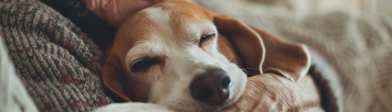 Ältere Frau mit Hund